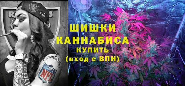 прущие грибы Бронницы