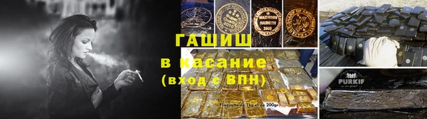 мдпв Бородино