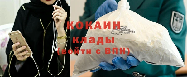 прущие грибы Бронницы