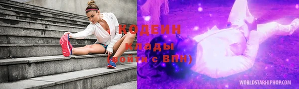 мдпв Бородино