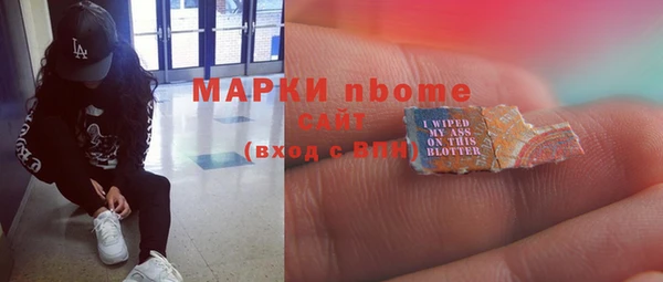 мдпв Бородино