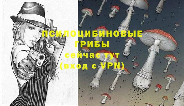 ALPHA PVP Бугульма