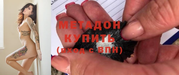 прущие грибы Бронницы