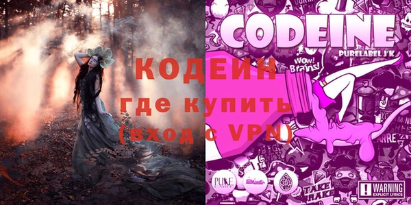мдпв Бородино