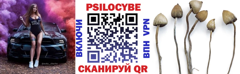 ссылка на мегу ссылка Гремячинск Галлюциногенные грибы MAGIC MUSHROOMS цена наркотик